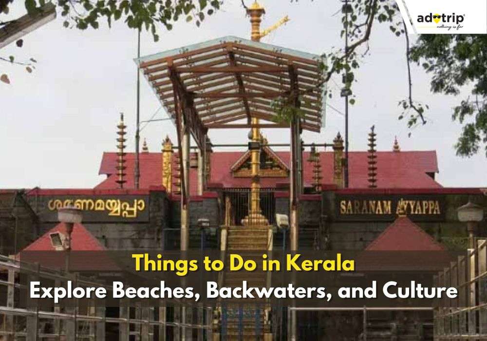 Things to Do in Kerala